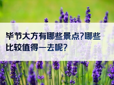 毕节大方有哪些景点？哪些比较值得一去呢？