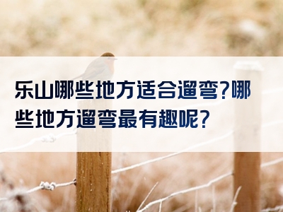 乐山哪些地方适合遛弯？哪些地方遛弯最有趣呢？
