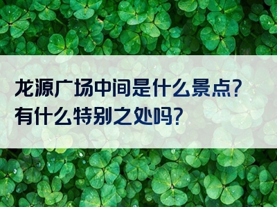龙源广场中间是什么景点？有什么特别之处吗？