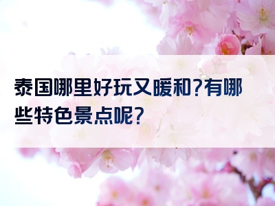 泰国哪里好玩又暖和？有哪些特色景点呢？