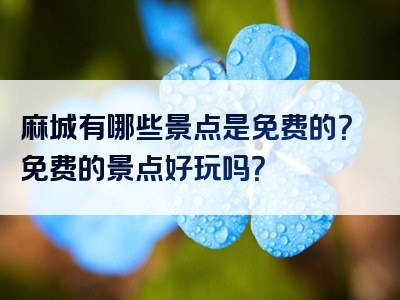 麻城有哪些景点是免费的？免费的景点好玩吗？