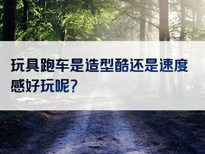 玩具跑车是造型酷还是速度感好玩呢？