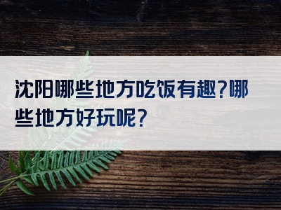 沈阳哪些地方吃饭有趣？哪些地方好玩呢？
