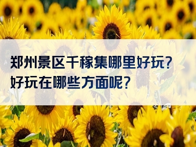 郑州景区千稼集哪里好玩？好玩在哪些方面呢？