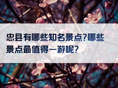 忠县有哪些知名景点？哪些景点最值得一游呢？