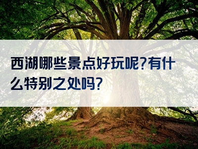 西湖哪些景点好玩呢？有什么特别之处吗？