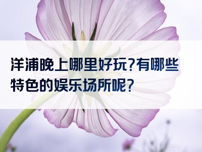 洋浦晚上哪里好玩？有哪些特色的娱乐场所呢？