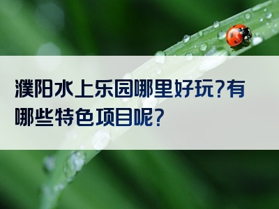 濮阳水上乐园哪里好玩？有哪些特色项目呢？