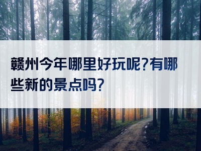 赣州今年哪里好玩呢？有哪些新的景点吗？