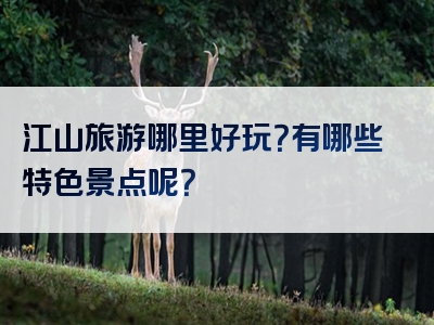 江山旅游哪里好玩？有哪些特色景点呢？