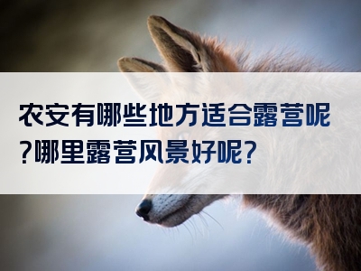 农安有哪些地方适合露营呢？哪里露营风景好呢？