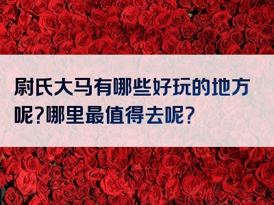 尉氏大马有哪些好玩的地方呢？哪里最值得去呢？