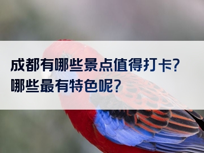 成都有哪些景点值得打卡？哪些最有特色呢？