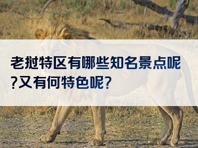 老挝特区有哪些知名景点呢？又有何特色呢？