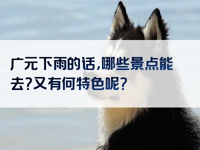 广元下雨的话，哪些景点能去？又有何特色呢？