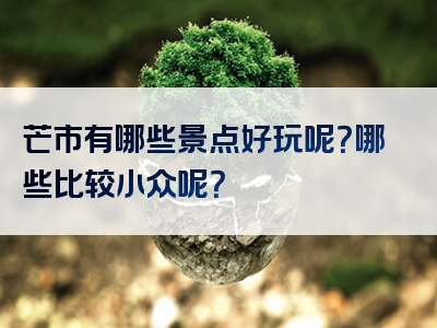 芒市有哪些景点好玩呢？哪些比较小众呢？