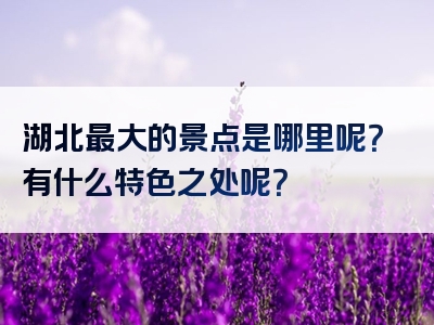 湖北最大的景点是哪里呢？有什么特色之处呢？