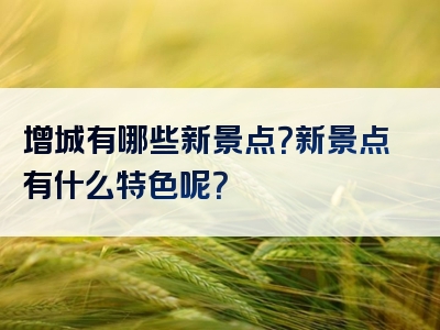 增城有哪些新景点？新景点有什么特色呢？