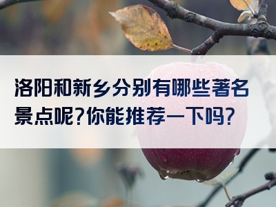 洛阳和新乡分别有哪些著名景点呢？你能推荐一下吗？