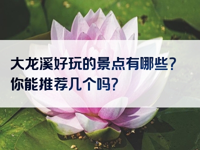 大龙溪好玩的景点有哪些？你能推荐几个吗？