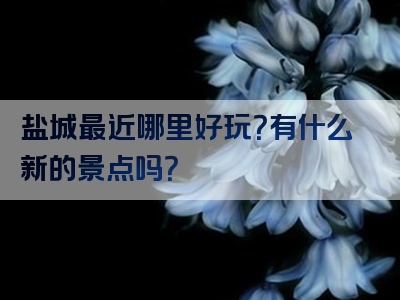 盐城最近哪里好玩？有什么新的景点吗？