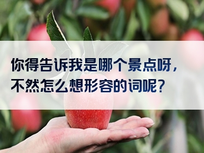 你得告诉我是哪个景点呀，不然怎么想形容的词呢？