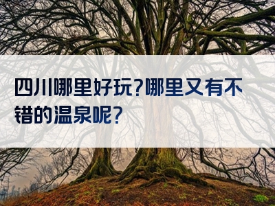 四川哪里好玩？哪里又有不错的温泉呢？