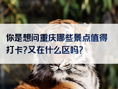 你是想问重庆哪些景点值得打卡？又在什么区吗？