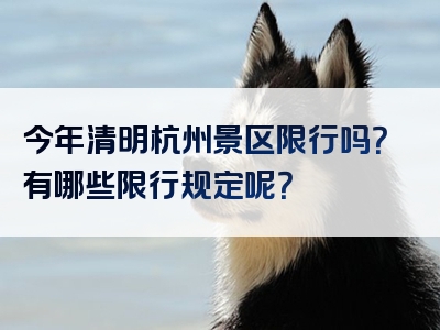 今年清明杭州景区限行吗？有哪些限行规定呢？