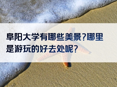 阜阳大学有哪些美景？哪里是游玩的好去处呢？