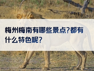 梅州梅南有哪些景点？都有什么特色呢？