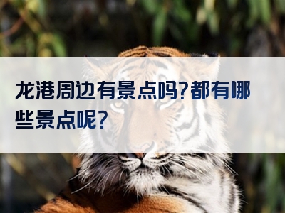 龙港周边有景点吗？都有哪些景点呢？