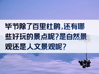毕节除了百里杜鹃，还有哪些好玩的景点呢？是自然景观还是人文景观呢？