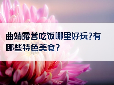 曲靖露营吃饭哪里好玩？有哪些特色美食？