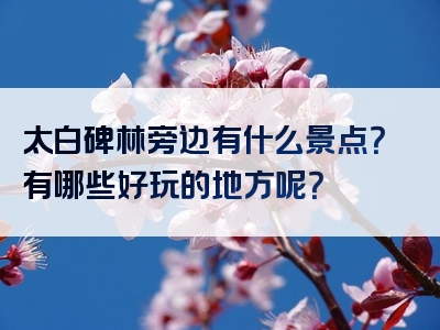 太白碑林旁边有什么景点？有哪些好玩的地方呢？
