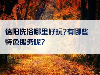 德阳洗浴哪里好玩？有哪些特色服务呢？