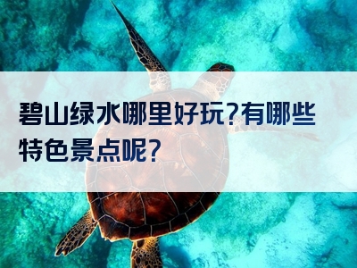 碧山绿水哪里好玩？有哪些特色景点呢？