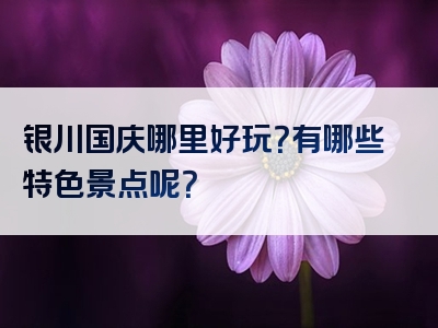 银川国庆哪里好玩？有哪些特色景点呢？