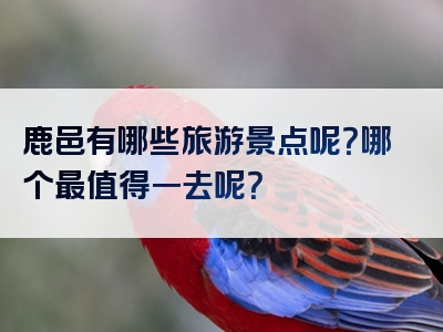 鹿邑有哪些旅游景点呢？哪个最值得一去呢？
