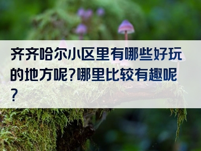 齐齐哈尔小区里有哪些好玩的地方呢？哪里比较有趣呢？
