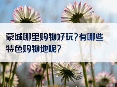 蒙城哪里购物好玩？有哪些特色购物地呢？
