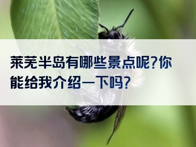 莱芜半岛有哪些景点呢？你能给我介绍一下吗？