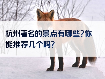 杭州著名的景点有哪些？你能推荐几个吗？