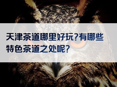 天津茶道哪里好玩？有哪些特色茶道之处呢？