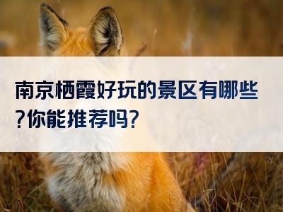 南京栖霞好玩的景区有哪些？你能推荐吗？