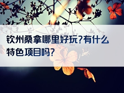 钦州桑拿哪里好玩？有什么特色项目吗？