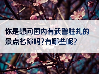 你是想问国内有武警驻扎的景点名称吗？有哪些呢？