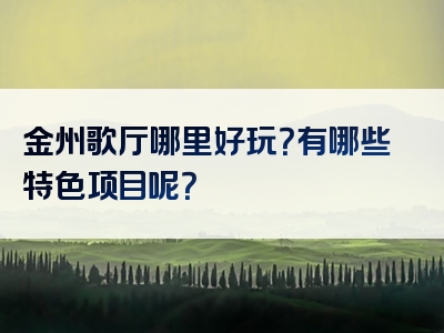 金州歌厅哪里好玩？有哪些特色项目呢？