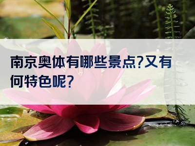 南京奥体有哪些景点？又有何特色呢？