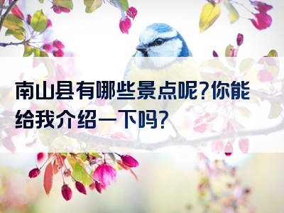 南山县有哪些景点呢？你能给我介绍一下吗？